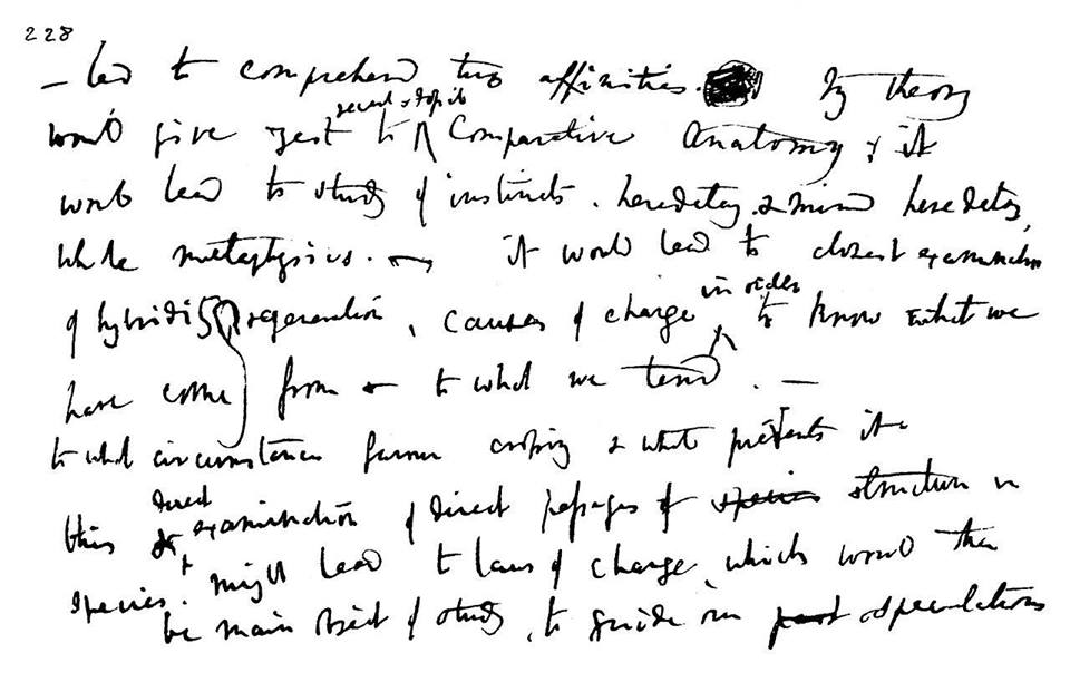10559915_10202383225561302_3998872917213820010_n