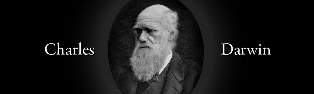 10457714_10203555009975180_8198607794714906274_o