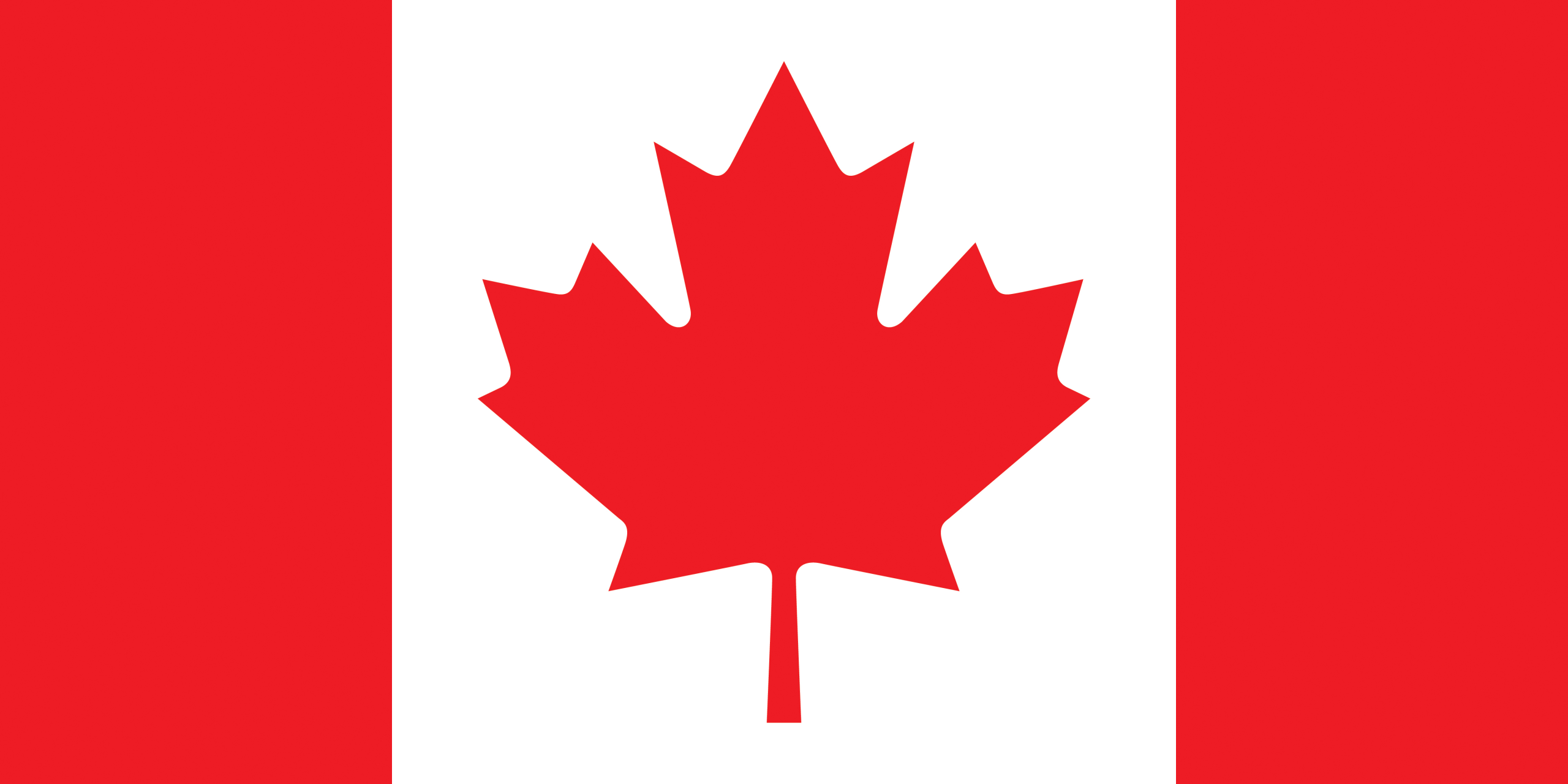 A Letter to My American CFI Cousin